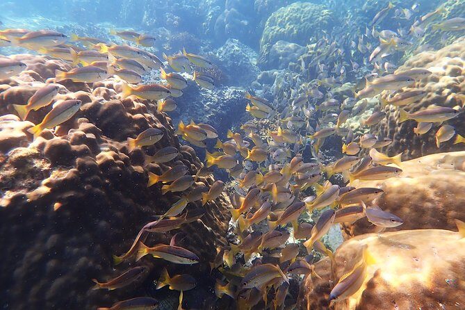 Private Full-Day Red Dragon Yacht to Angthong National Marine Park - How Does the Price Justify the Experience?