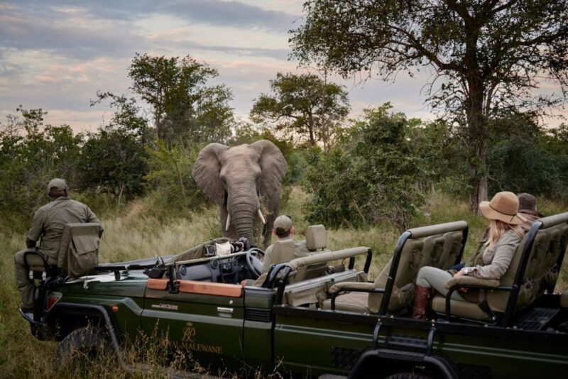 Private Full Day Safari Adventure in Addo National Park - Who Will Love This Safari?