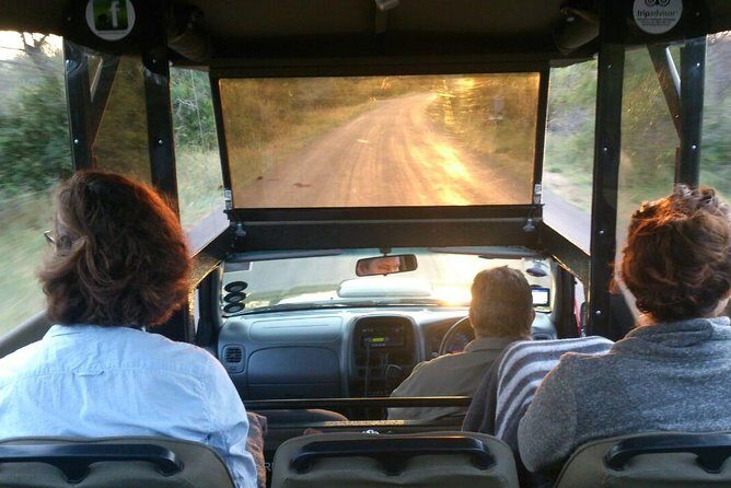 Private Full Day Safari l Kruger National Park from Hazyview or Skukuza - The Guides & Their Role