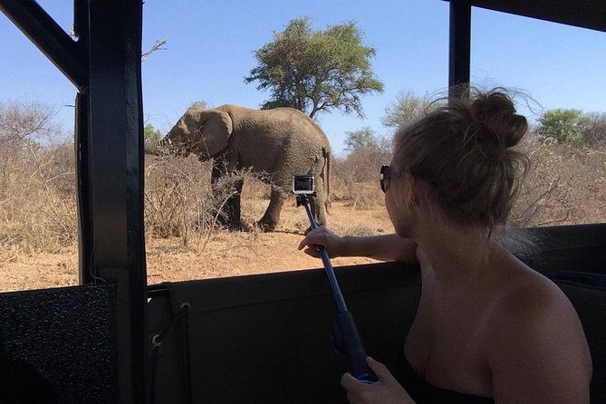 Private Full Day Safari l Kruger National Park from Hazyview or Skukuza - In The Sum Up