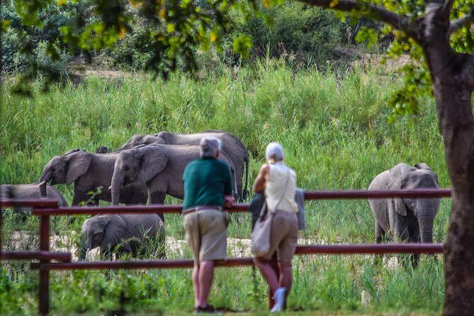 Private Full Day Safari l Kruger National Park from Hazyview or Skukuza - FAQ