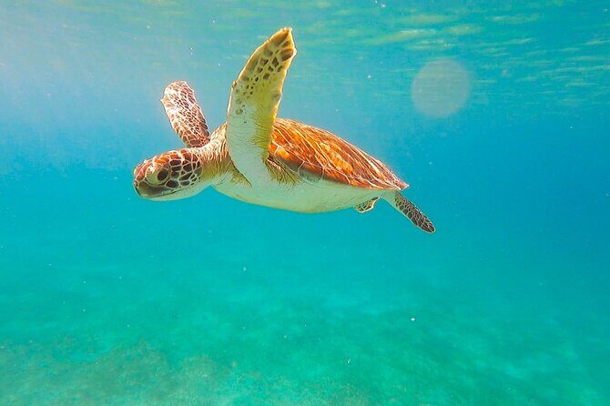 Private Full Day Sail in Virgin Islands National Park - Is It Worth It?