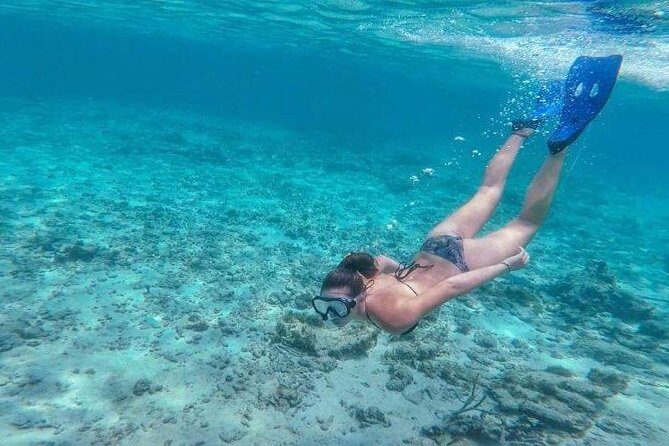 Private Full Day Sail/ Snorkel Experience USVI (Sapphire Marina, STT pick up) - A Closer Look at the Experience
