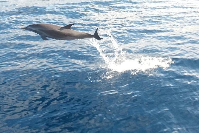 Private Full Day Sail/ Snorkel Experience USVI (Sapphire Marina, STT pick up) - FAQ