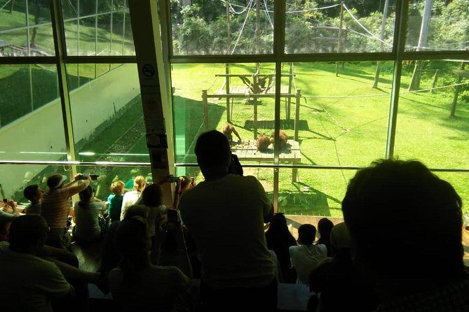 Private Full Day Sepilok Orang Utan, Bornean Sun Bear and Rainforest Discovery Center Tour - Why This Tour Offers Great Value