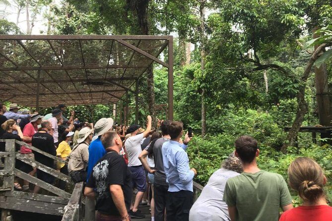 Private Full Day Sepilok Orang Utan, Bornean Sun Bear and Rainforest Discovery Center Tour - Who Will Love This Tour?