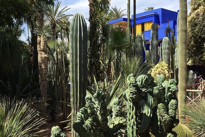 Private Full Day Sightseeing Marrakech Tour - Exploring Marrakech in Style and Substance