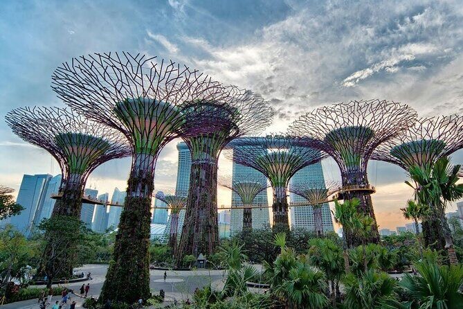 Private Full Day Singapore Highlights Tour - Final Thoughts
