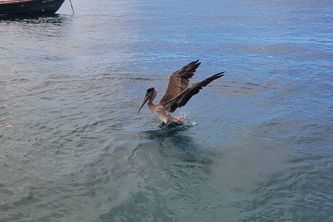 Private Full Day Snorkel Soufriere Charter - The Sum Up
