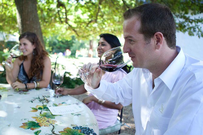 Private Full Day Stellenbosch Wine Tour with Pick Up and Drop Off - Who Should Consider This Tour?