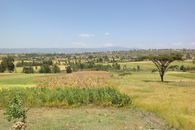 Private Full-Day Stone Age and Medieval Tour from Addis Ababa - A Well-Balanced Journey Through Ethiopia’s Ancient Past