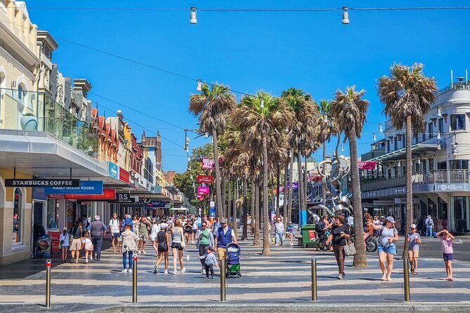 Private Full-Day Sydney Highlights with Bondi Beach Tour - The Itinerary: From Historic Streets to Iconic Beaches
