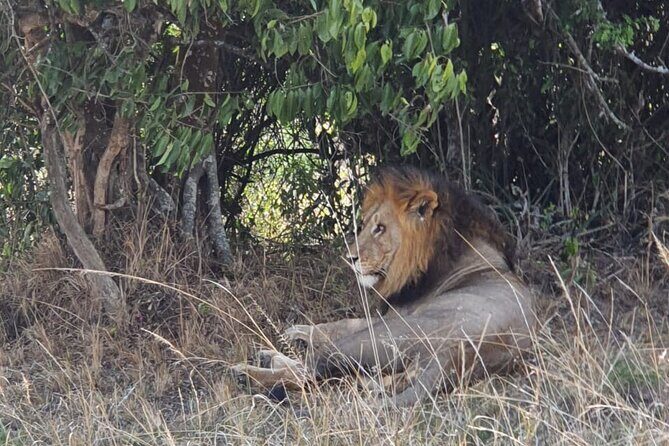 Private Full-Day Tour Akagera Game Drive - Who Would Love This Tour?