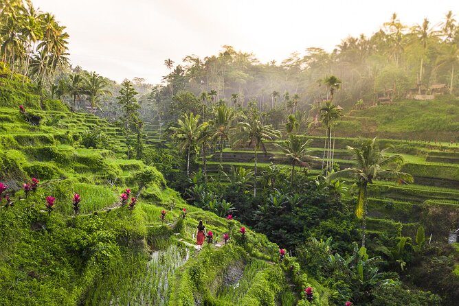 Private Full-Day Tour: Balinese Temples and Rice Terraces - FAQs