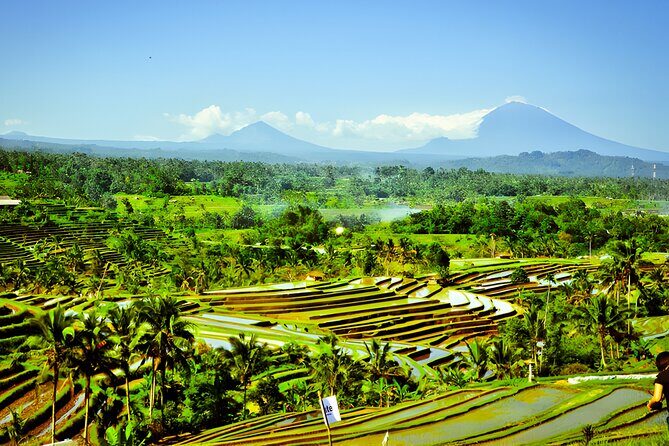 Private Full-Day Tour: Discover The Best of Bali Destination - The Value Proposition
