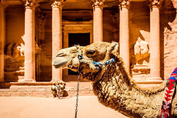 Private Full Day Tour from Amman to Petra City - FAQs
