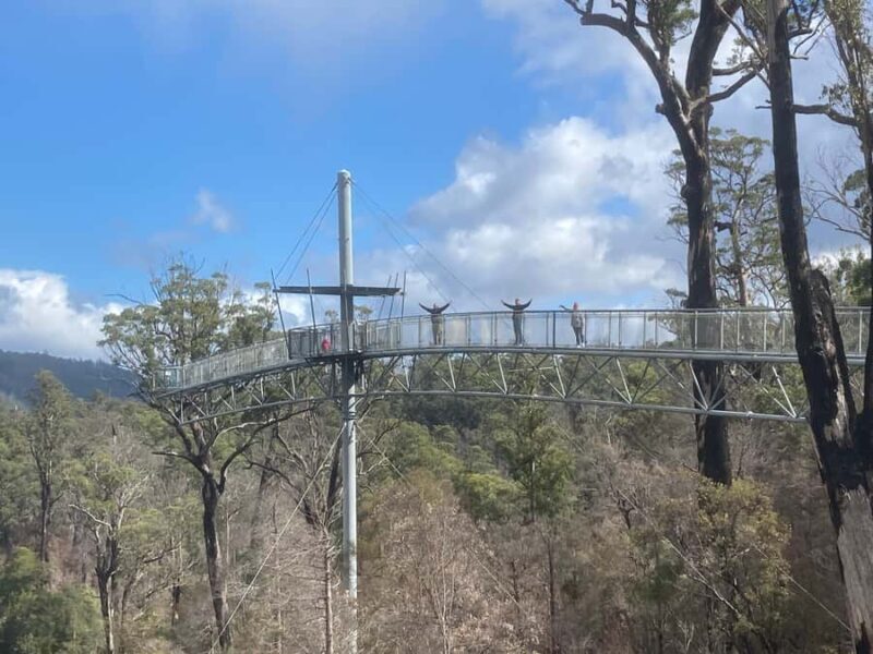 Private Full Day Tour - Huon Valley and Cygnet - An In-Depth Look at What to Expect