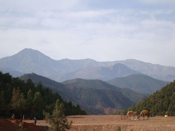 Private Full Day Tour in Agafay Desert and Atlas Mountains - Discovering Morocco’s Natural Beauty: A Deep Dive into the Agafay Desert and Atlas Mountains Tour