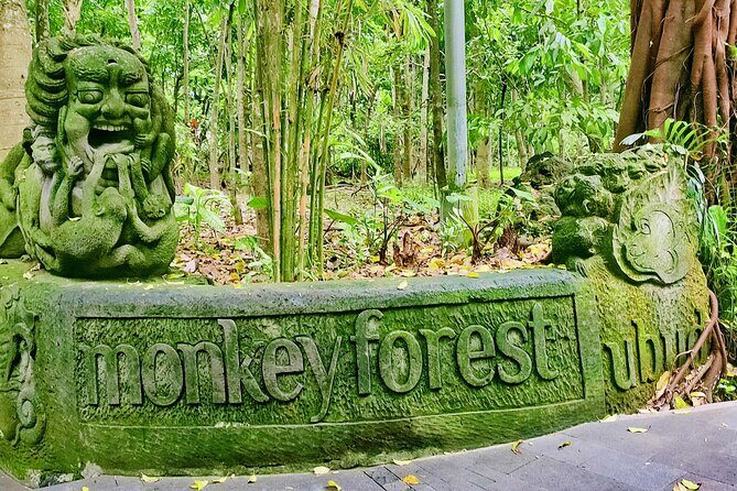 Private Full-Day Tour in Bali & FREE WIFI - Who Is This Tour Best For?