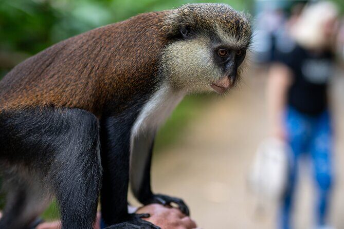 Private Full-day Tour in Grenada with Pickup - What Makes This Tour Stand Out?