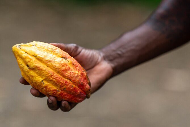 Private Full-day Tour in Grenada with Pickup - Practical Details and Tips