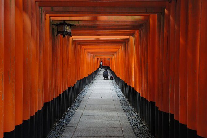 Private Full Day Tour in Kyoto with a Local Travel Companion - A Deep Dive into Kyoto’s Most Notable Landmarks