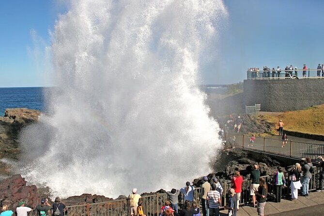 Private Full-Day Tour in Sydney - Who Should Consider This Tour?