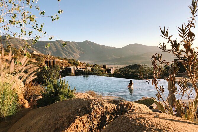 Private Full Day Tour in Valle de Guadalupe - The Bottom Line: Who Should Consider This Tour?