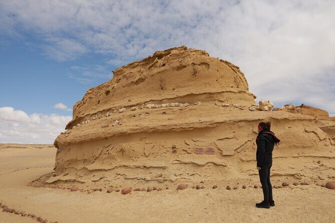 Private Full Day Tour in Wadi El Rayan and Wadi El Hiten - The Itinerary in Detail
