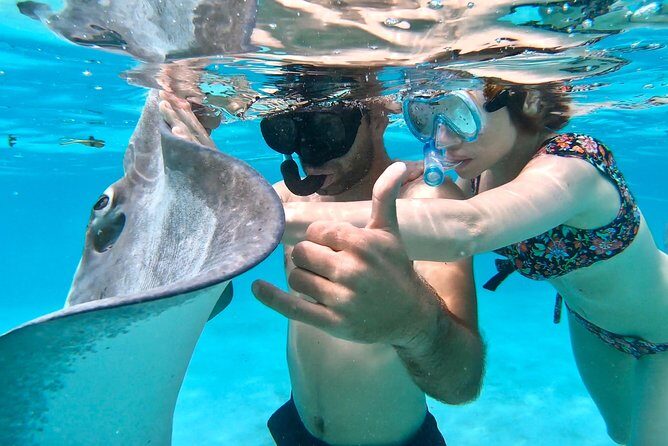 PRIVATE Full Day Tour : Moorea Snorkeling & Sailing on a Catamaran named Taboo - Who Will Love This Tour?