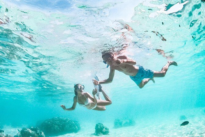 PRIVATE Full Day Tour : Moorea Snorkeling & Sailing on a Catamaran named Taboo - FAQ