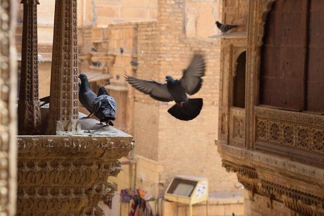 Private Full-Day Tour of Jaisalmer with Guide - An In-Depth Look at the Tour