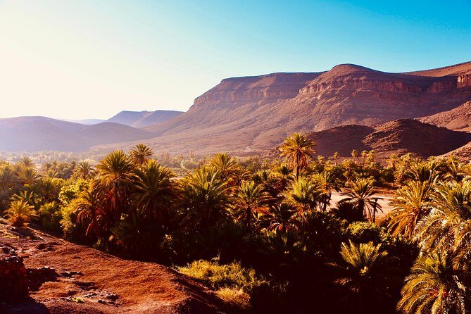 Private Full-Day Tour of Ouarzazate and Oasis Fint - Key Points