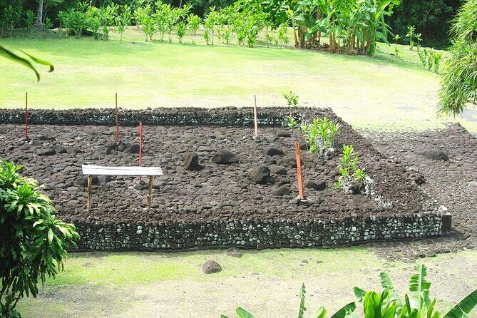 Private Full Day Tour of Tahiti - Who Is This Tour Best For?