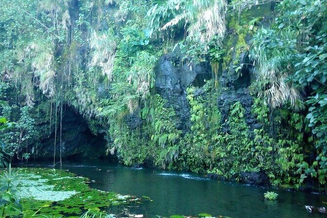 Private Full Day Tour of Tahiti - Final Thoughts