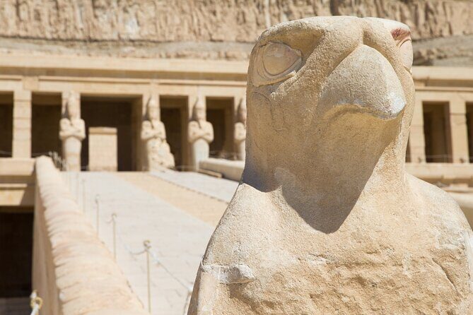 Private Full Day Tour on the West Bank of Luxor - Reviews and Feedback Highlights