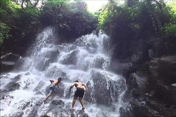 Private Full-Day Tour: The Beauty of Bali Waterfall Trip - What Others Say