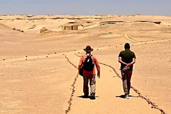 Private Full Day Tour to Fayoum Oasis with Transfer Included - An In-Depth Look at the Fayoum Oasis Tour