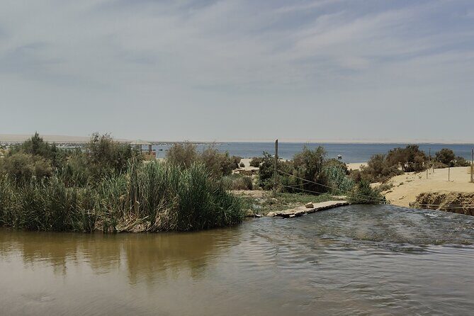 Private Full Day Tour to Fayoum Oasis with Transfer Included - FAQs