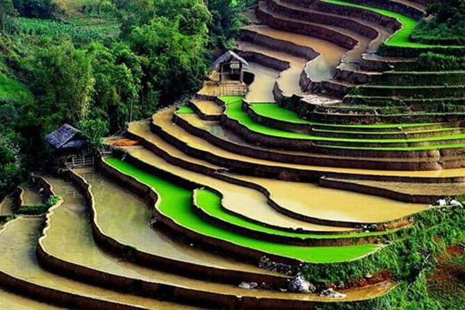 Private Full-Day Tour to Halong Bay from Hanoi - The Sum Up