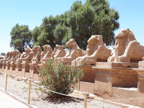 Private Full Day Tour to Luxor from Cairo with Flight - Who Will Love This Tour?