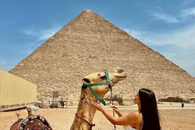 Private Full day Tour to Pyramids, Egyptian Museum and Bazaar - Key Points