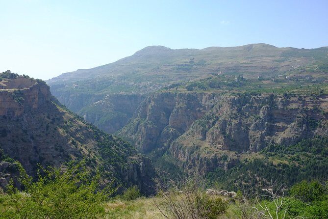Private Full-Day Tour to Qadisha valley, Bcharre and Cedars of God from Beirut - What Travelers Say