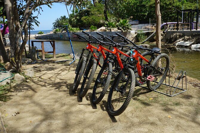 Private Full Day Tour to Sayulita - Final Thoughts