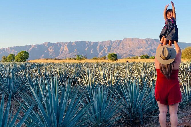 Private Full-Day Tour to Tequila Pueblo Magico - The Itinerary in Detail: What to Expect