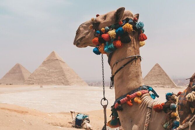 Private Full Day Tour to The Great Pyramids & Egyptian Museum - Key Points