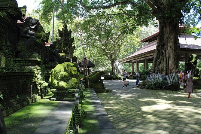 Private Full Day Tour to Ubud Highlights with Giant Swing - A Detailed Breakdown of the Itinerary