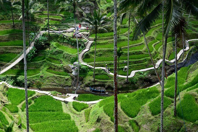 Private Full Day Tour to Ubud Highlights with Giant Swing - Who Is This Tour Best For?