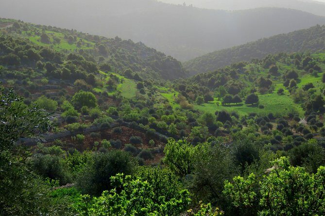 Private Full Day Tour to Umm Qais and Ajloun from Amman - Final Thoughts