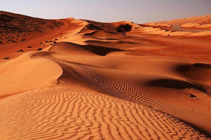 Private Full Day Tour to Wahiba Sands Desert and Wadi Hawer - Key Points